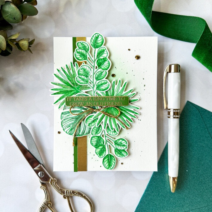 Cultivate Your Cardstock Green Thumb with New Propagation Garden from Annie Williams!